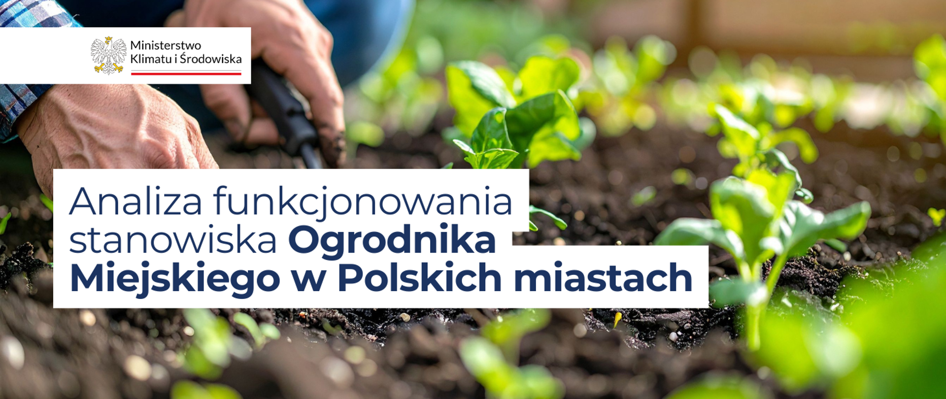 w tle grafiki widoczne są dłonie, które sadzą rośliny w ziemi. Na pierwszym planie widoczny jest napis: Analiza funkcjonowania stanowiska Ogrodnika Miejskiego w Polskich miastach.