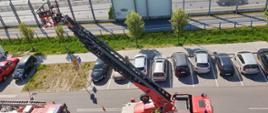 Na zdjęciu pojazdy straży widoczne z góry, z budynku ZUS. Słoneczna pogoda. Widać dużo roślinności, drogę oraz chodniki z kostki brukowej. Po bokach drogi pojazdy stojące na parkingach. Pojazdy w różnych kolorach. Drabina mechaniczna w trakcie sprawiania.