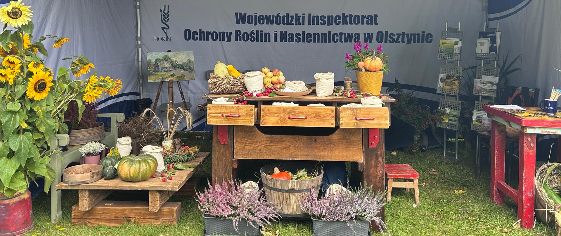 Stoisko informacyjne, stoły, kwiaty, warzywa i nasiona w tle napis WIORiN w Olsztynie