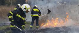 Pożar trawy w miejscowości Godzimierz 