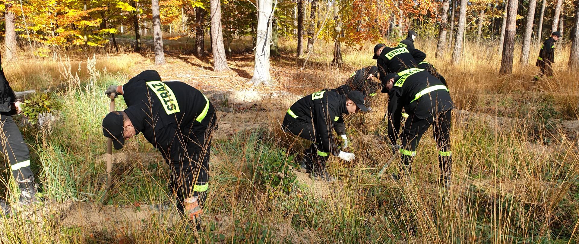 Akcja #SADZIMY 2021 - Grupa kadetów CS PSP podczas sadzenia drzew, w tle drzewa