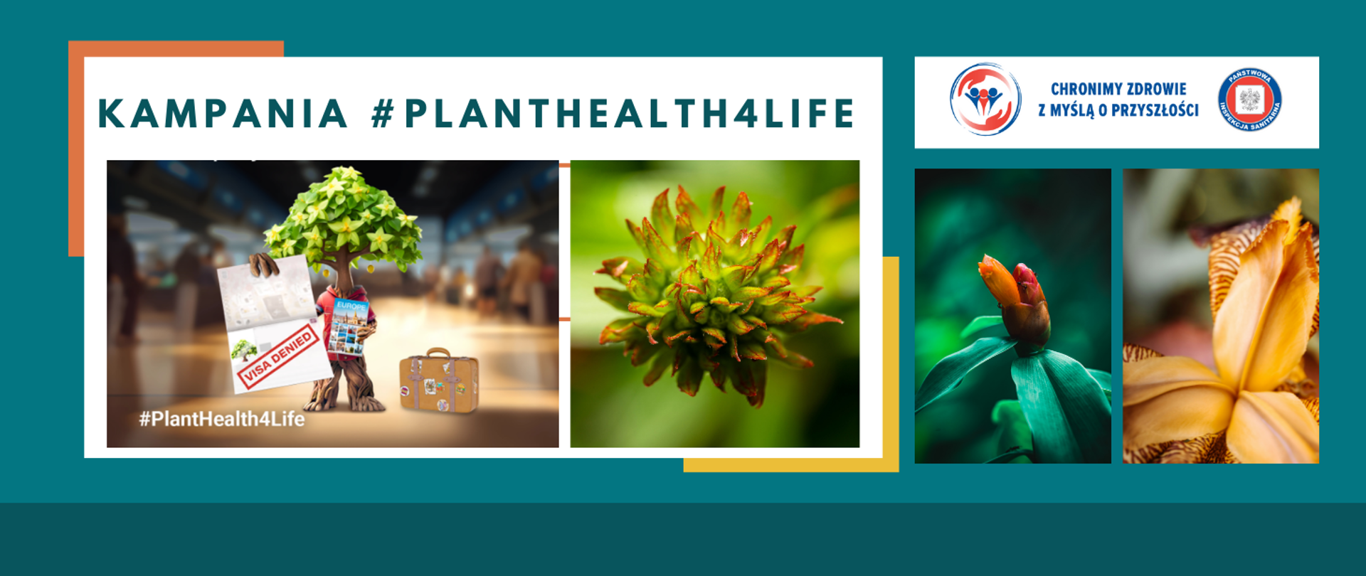 Kampania społeczna EFSA #PlantHealth4Life