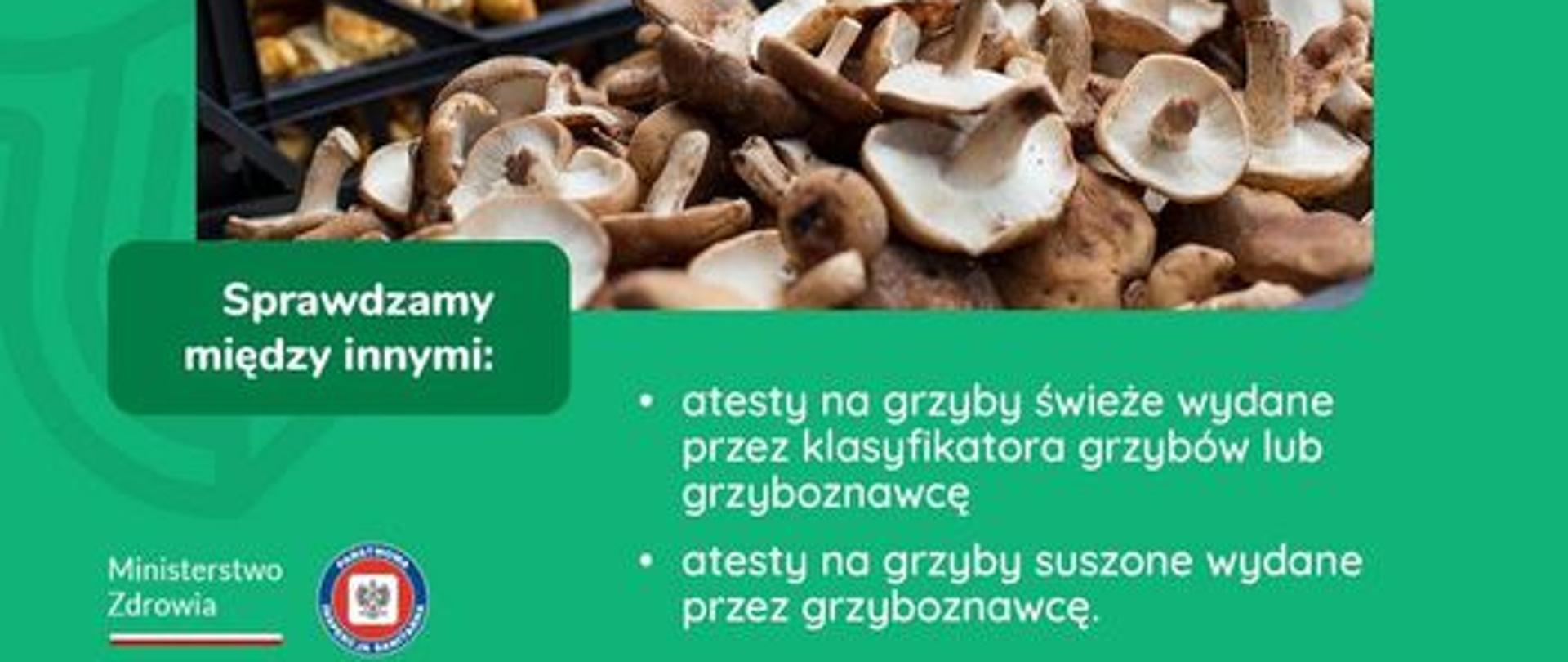 Informacje o grzybach w skupach i zakładach produkcyjnych, targowiskach. Prostokątna grafika z zielonym tłem, a w centralnym miejscu fotografia grzybów w skrzynkach. Pod spodem i nad tekstowe informacje o grzybach i co sprawdza sanepid czyli atesty na grzyby świeże i suszone.