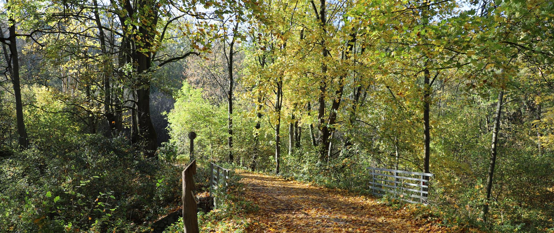 Górznieńsko-Lidzbarski Park Krajobrazowy, fot. Karolina Hunker RDOŚ w Bydgoszczy