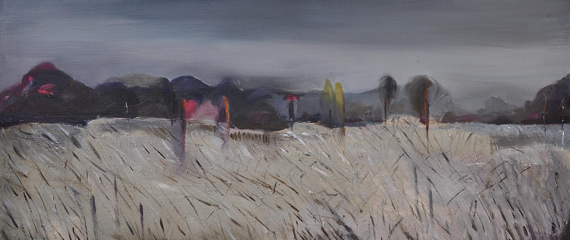 Spokojny krajobraz utrzymany w barwach zimnych, np. biały, czarny, niebieski, szary. Na pierwszym planie srebrne łąki. Na górze szaroniebieskie niebo. Na dalszym planie niemożliwe do jednoznacznego zdefiniowania obiekty, góry w przeważającym kolorze czarnym? drzewa? Obraz działa na wyobraźnię, ponieważ występują w nim nieokreślone kształty. 