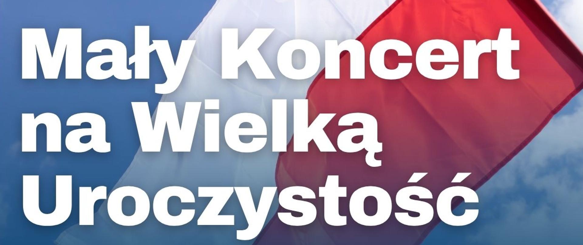 Plakat o patriotycznej stylistyce, ujęty w cienką, białą ramkę. Górną część tła stanowi zdjęcie dużej, powiewającej biało-czerwonej flagi na tle błękitnego nieba, które miękkim gradientem przechodzi w jednolity, ciemnogranatowy dół. Na zdjęciu umieszczono duży, biały tytuł oraz logo szkoły muzycznej. Część z tytułem od sekcji informacyjnej na dole oddziela minimalistyczny akcent graficzny: cienka, pozioma linia, która w lewej połowie jest biała, a w prawej czerwona. Na granatowym tle znajduje się biały tekst ze szczegółami koncertu.