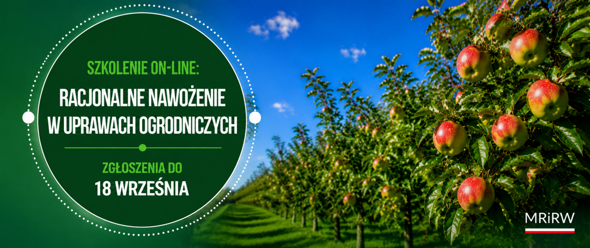 Główne