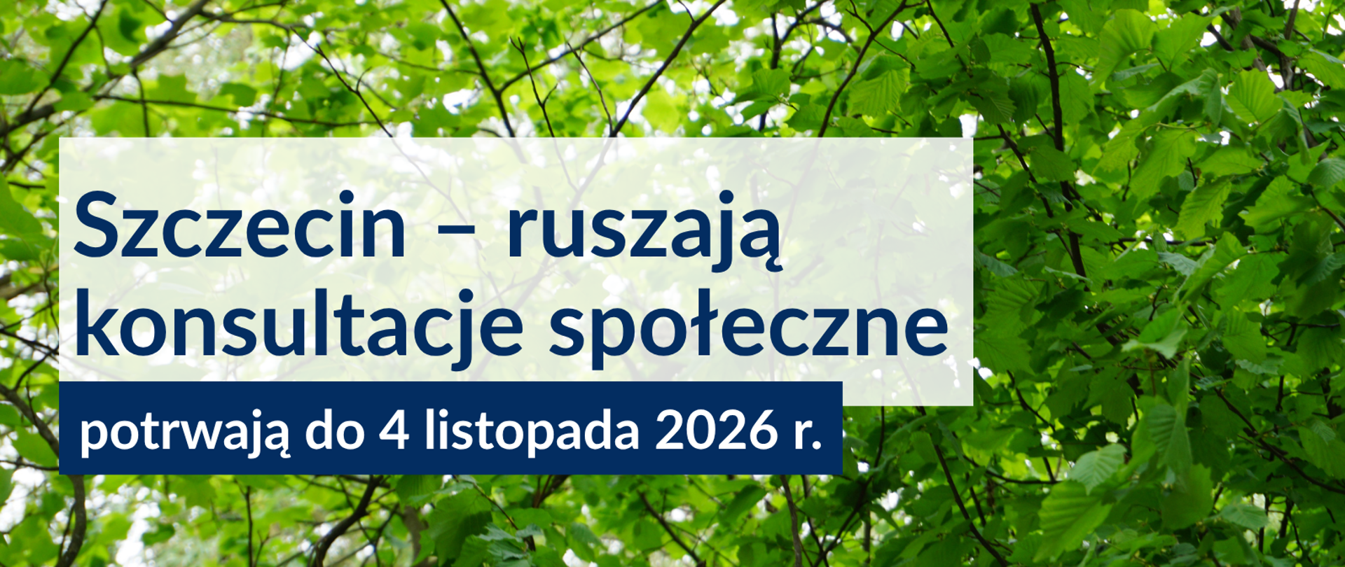31_Szczecin_–_ruszają_konsultacje_społeczne