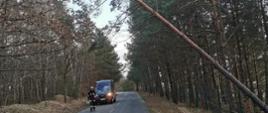 Na zdjęciu widzimy drzewo, które niebezpiecznie pochyliło się nad drogą oraz strażaka, który kieruje ruchem pojazdów na tej drodze do momentu usunięcia zagrożenia