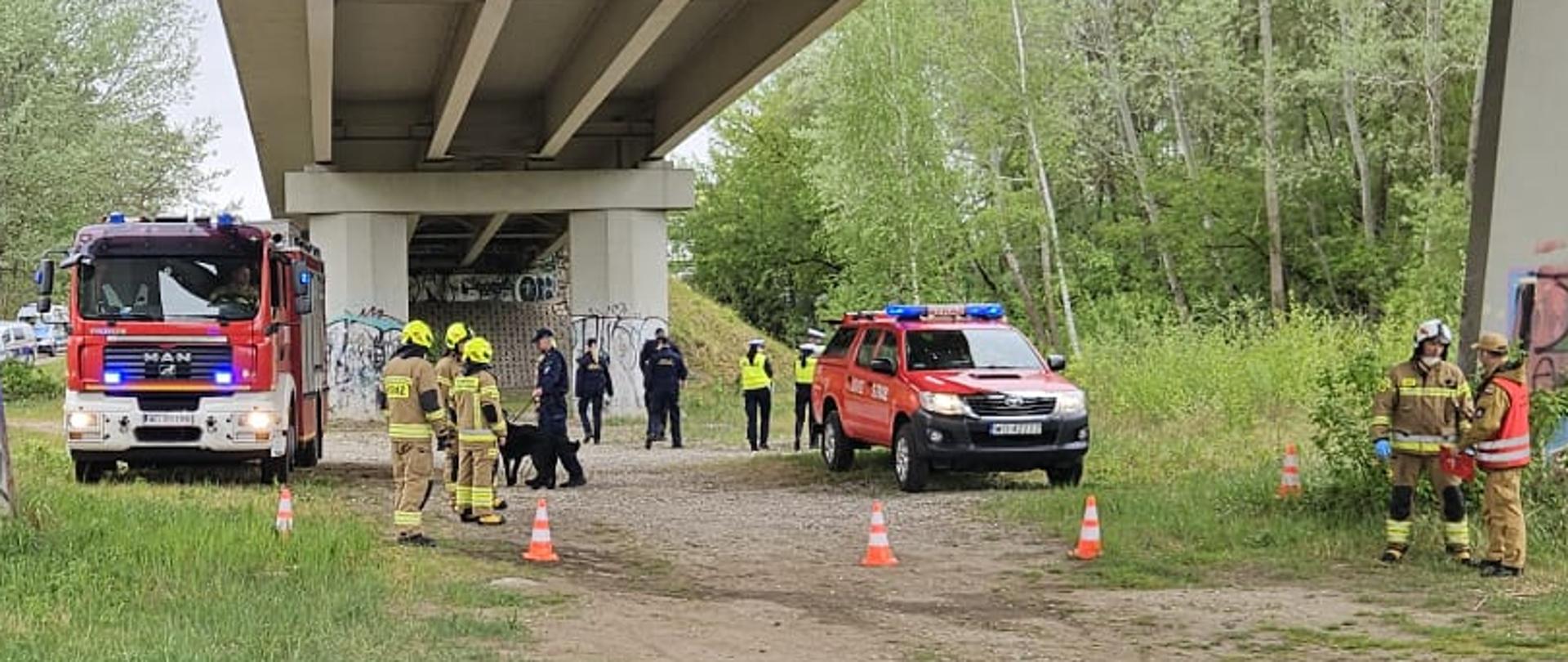 Widok na służby pracujące pod mostem.