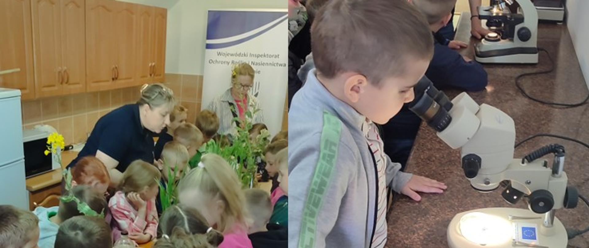  grupa dzieci które słuchają prowadzącą zajęcia edukacyjne. Dzieci stoją wokół stołu na którym znajdują się rośliny i produkty roślinne używane zazwyczaj w kuchni. W tle widać baner z napisem Wojewódzki Inspektorat Ochrony Roślin i Nasiennictwa w Olsztynie
