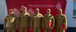 strażacy na tle PSP