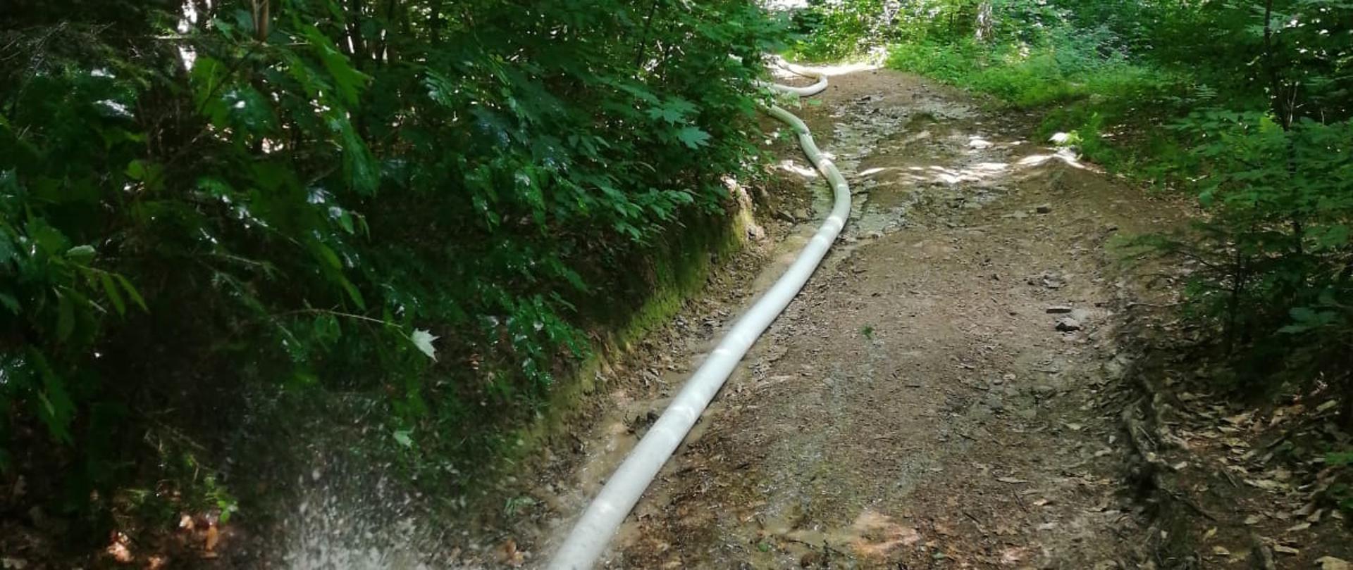 Na zdjęciu widać poprowadzoną linię główną składająca się z węży pożarniczych. Linia wężowa prowadzi wzdłuż ścieżki turystycznej ku górze Witosławskiej. Węże w plenerze leśnym. Pora dzienna, słonecznie.