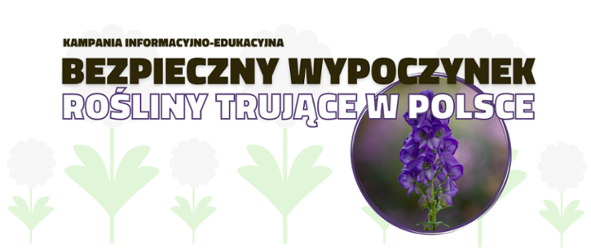 Zdjęcie przedstawia hasło kampami Bezpieczny wypoczynek - Rośliny Trujące w Polsce