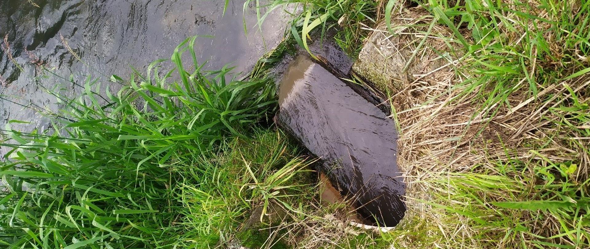 Wylot kolektora odprowadzającego ścieki.