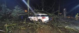 Uszkodzone samochody osobowe przygniecione przez konar drzewa