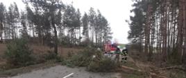 Na zdjęciu widzimy trzech strażaków którzy przy użyciu pilarki spalinowej usuwają drzewo blokujące drogę, które przewrócił silny wiatr.