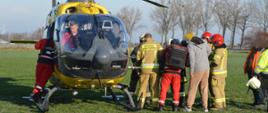 Na łące stoi śmigłowiec Lotniczego Pogotowia Ratunkowego. Obok śmigłowca znajdują się strażacy, ratownicy medyczni oraz osoby postronne. Strażacy mają na sobie ubrania specjalne w kolorze piaskowym i granatowym oraz czerwone i białe hełmy. Ratownicy medyczni są ubrani w stroje koloru czerwonego. Ułożona na noszach pacjentka jest wkładana do śmigłowca. za sterami maszyny siedzi pilot. W tle drzewa, budynki wiatraki. 