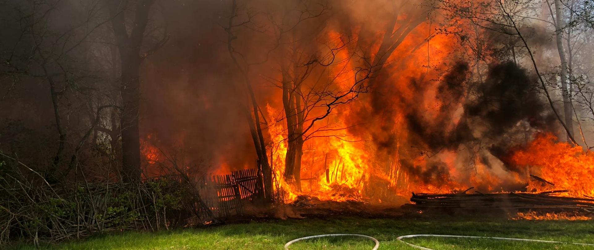 Na zdjęciu widzimy na pierwszym planie bardzo duże płomienie, sięgające kilkunastu metrów, obejmujące budynek gospodarczy, maszyny rolnicze, drzewa na posesji oraz składowane drewno. Przed pożarem rozwinięte są linie gaśnicze skierowane na budynek mieszkalny oraz składowane drewno. Po lewej stronie widzimy drewniany płot, który również zaczyna się palić