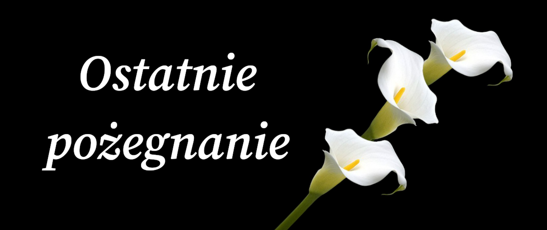 Napis ostatnie pożegnanie i kwiaty