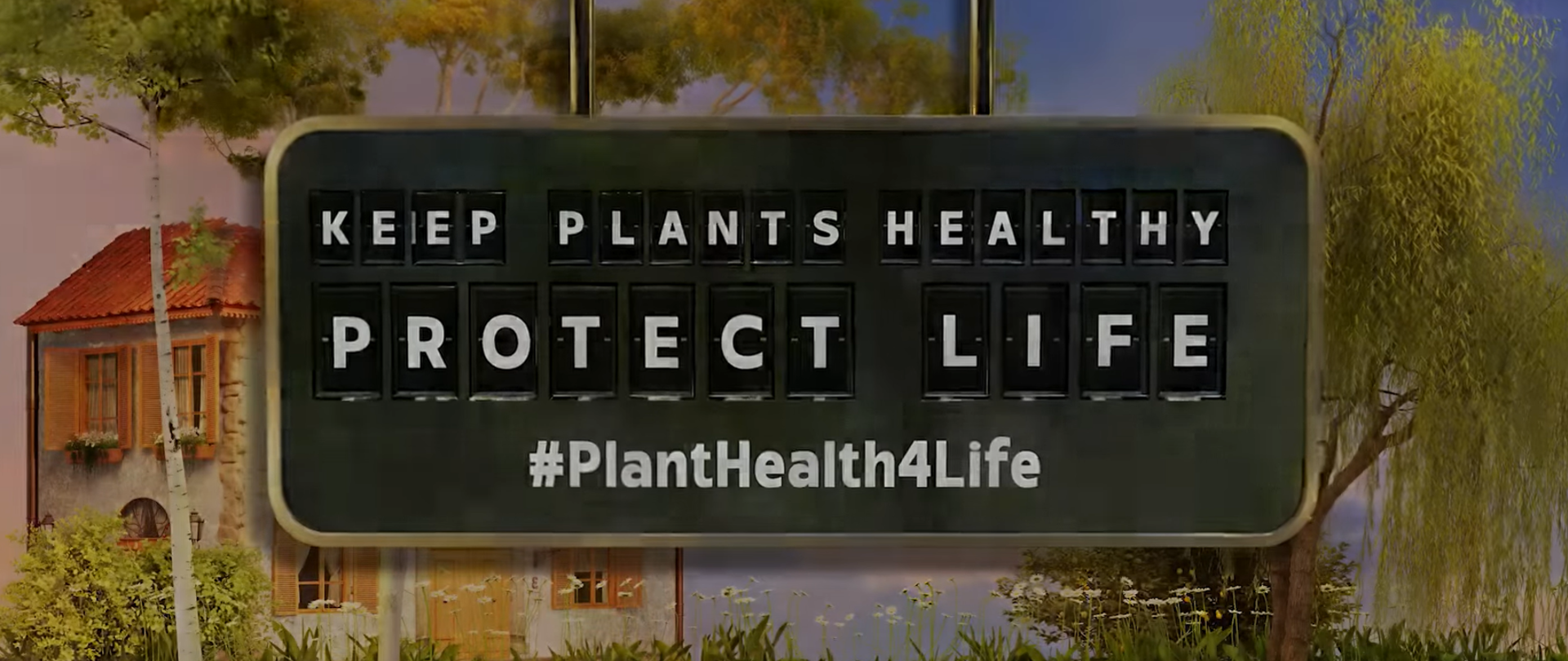 Kampania #PlantHealth4Life - baner