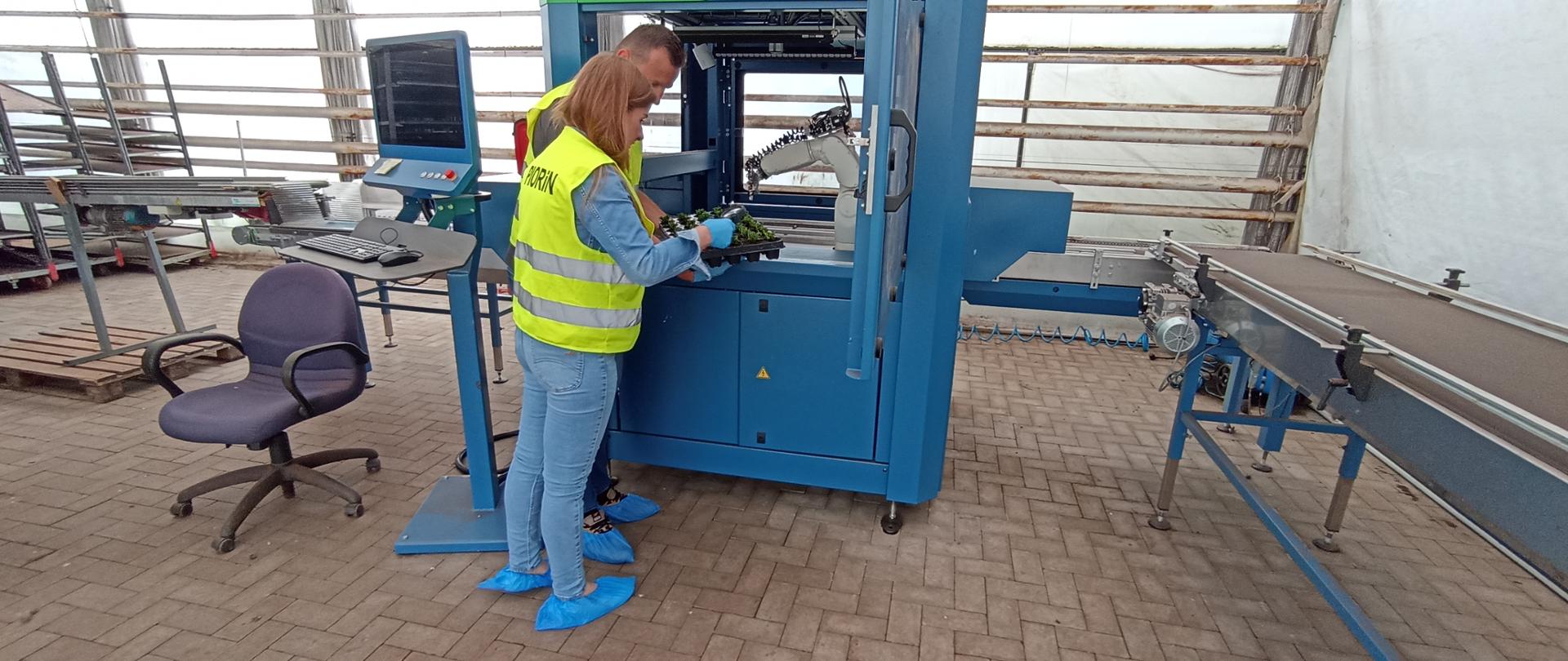 Dwoje inspektorów przygląda się multiplatowi z roślinami nasadzonymi przez ramię robota