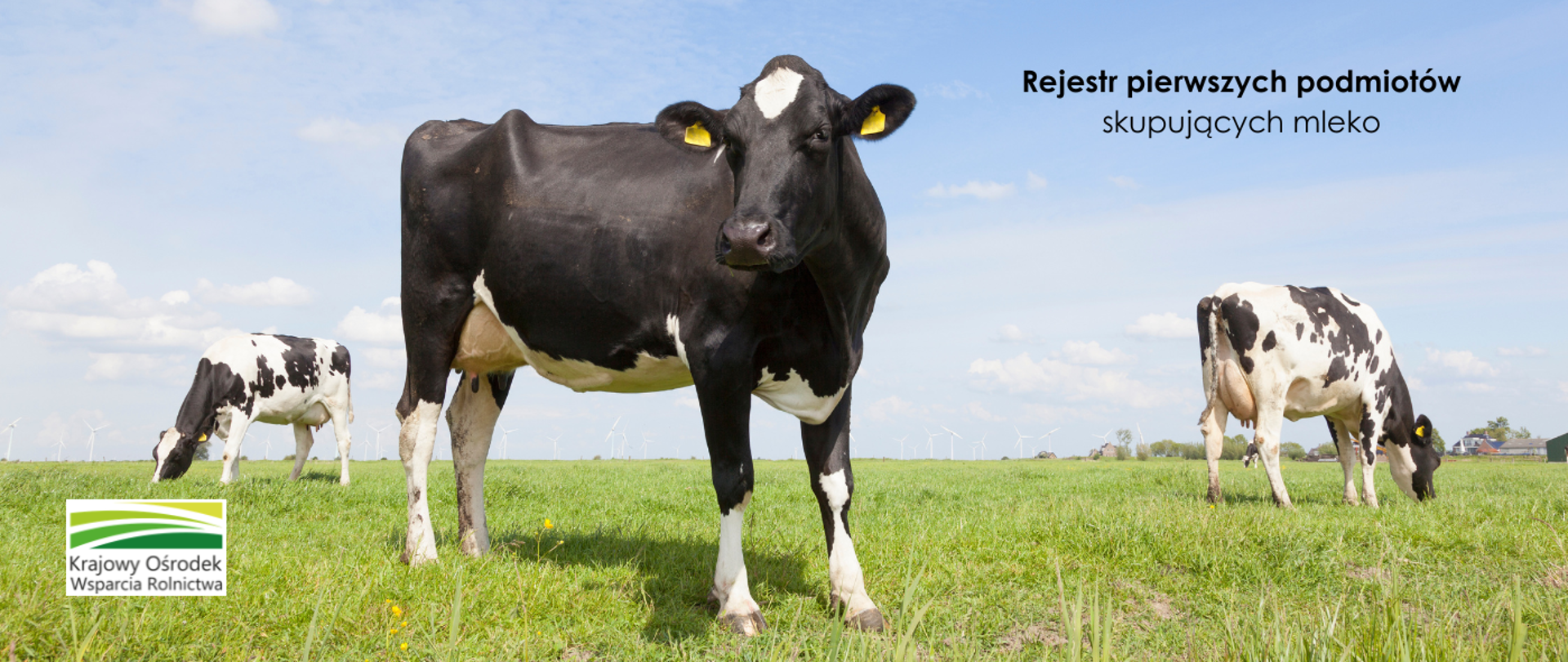 Rejestr pierwszych podmiotów skupujących mleko