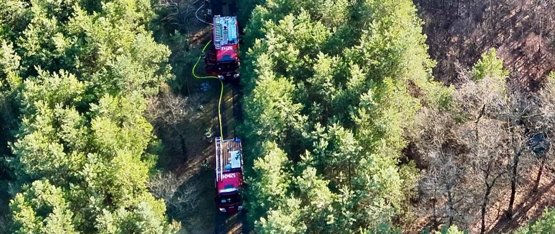 Widok z lotu ptaka na wąską leśną drogę otoczoną gęstymi sosnami. Na drodze stoją dwa czerwone wozy strażackie, z których rozwinięto wąż gaśniczy biegnący wzdłuż ścieżki.