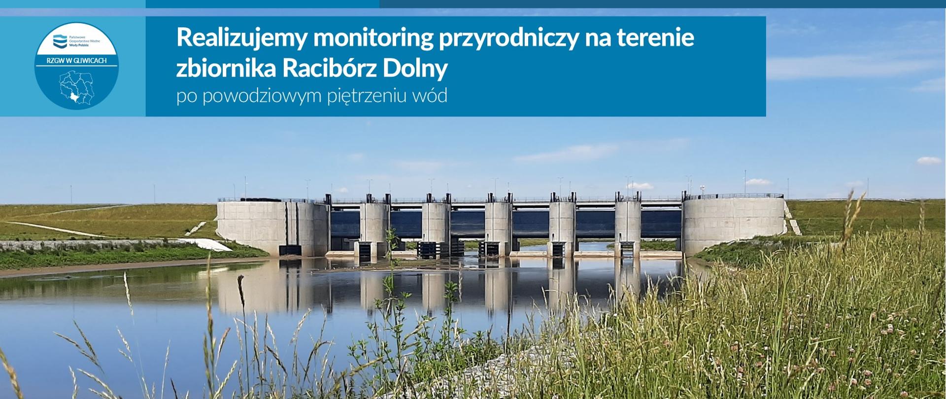 Monitoring przyrodniczy na terenie zbiornika Racibórz Dolny po powodziowym piętrzeniu wód