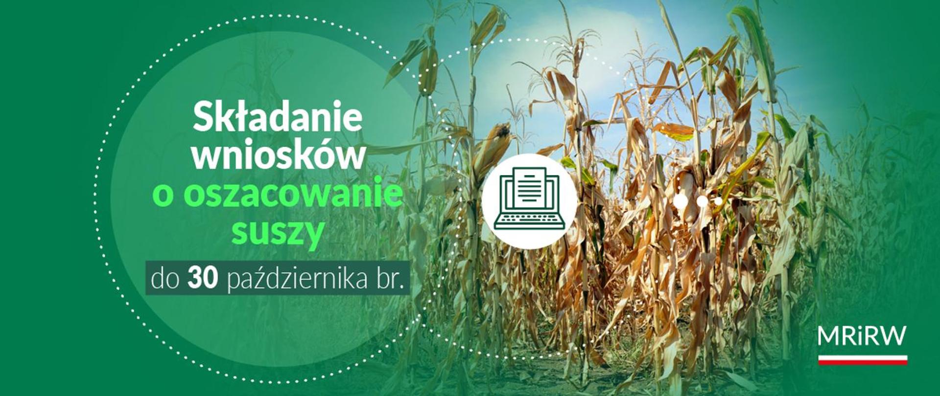 Wydłużenie terminu na składanie wniosków o oszacowanie suszy w aplikacji „Zgłoś szkodę rolniczą”
