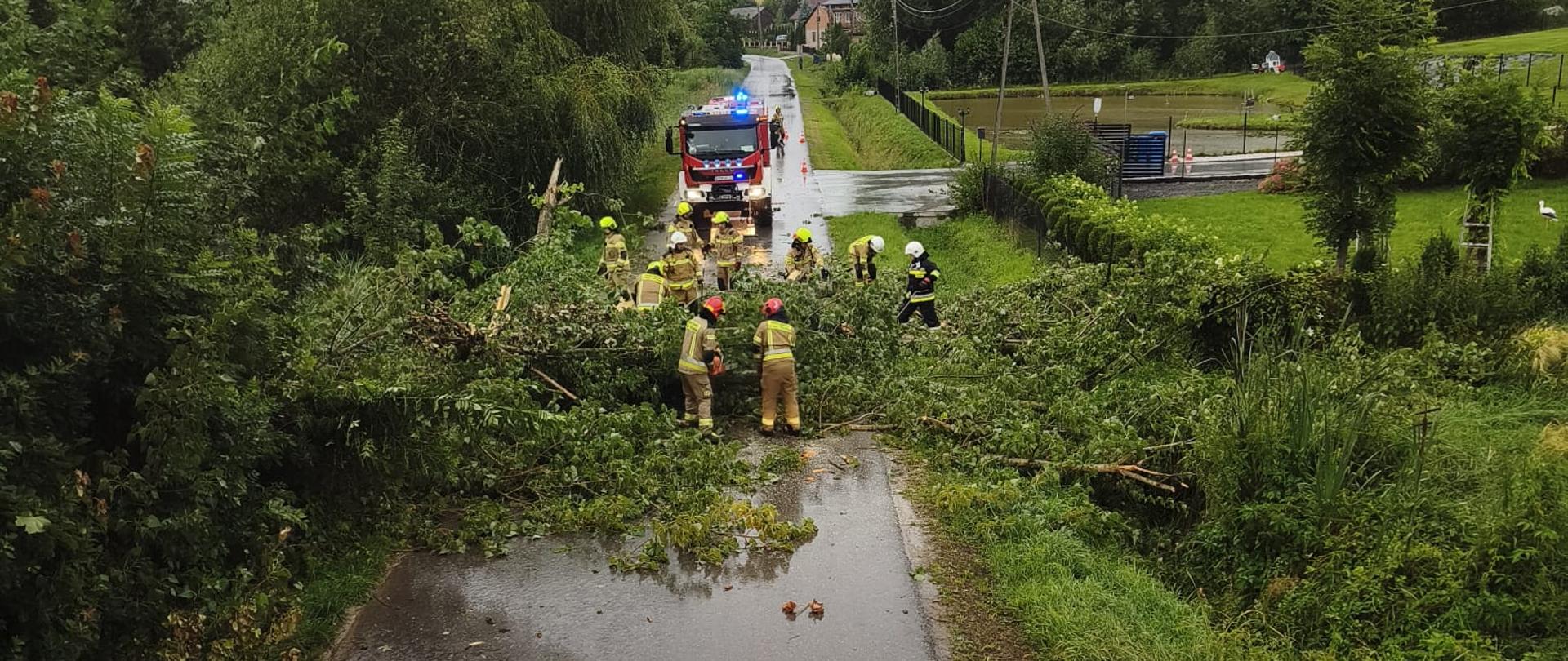 Burza nad powiatem proszowickim - strażacy usuwają powalone drzewa