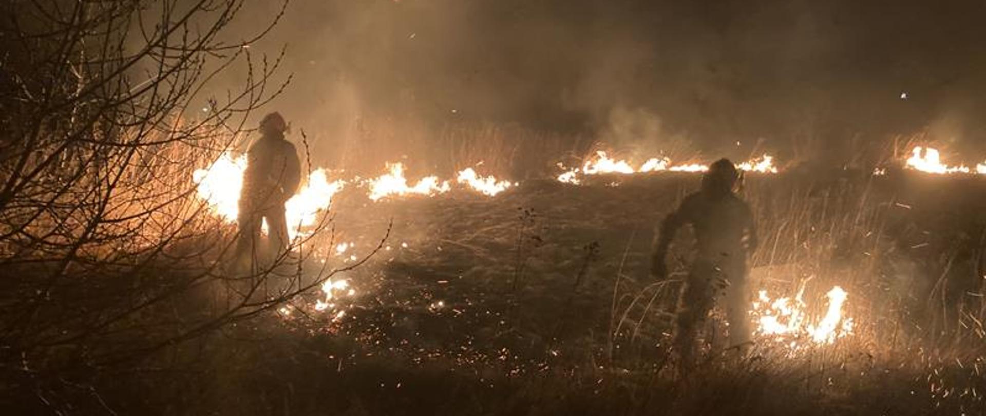 Stop pożarom traw na terenie powiatu staszowskiego.