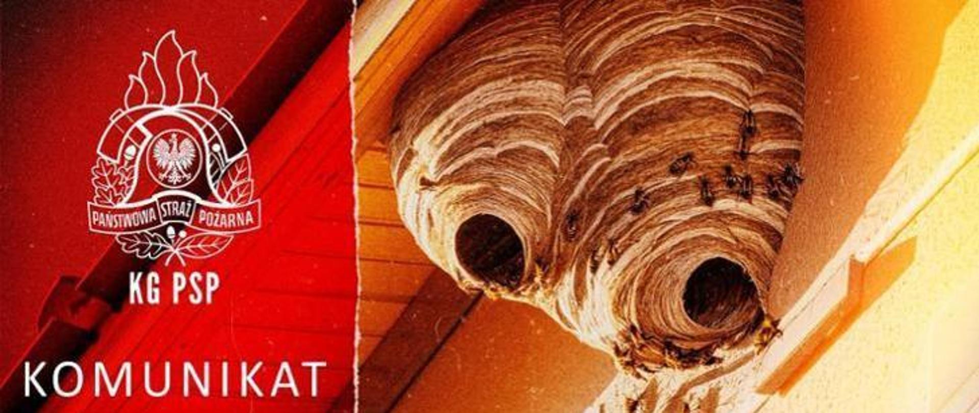 Logo komunikatu w sprawie usuwania owadów przez straż pożarną