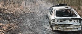 Zdjęcie przedstawia samochód osobowy po ugaszeniu pożaru, samochód stoi w leśnej dróżce, obok widać wypaloną ściółkę leśną.