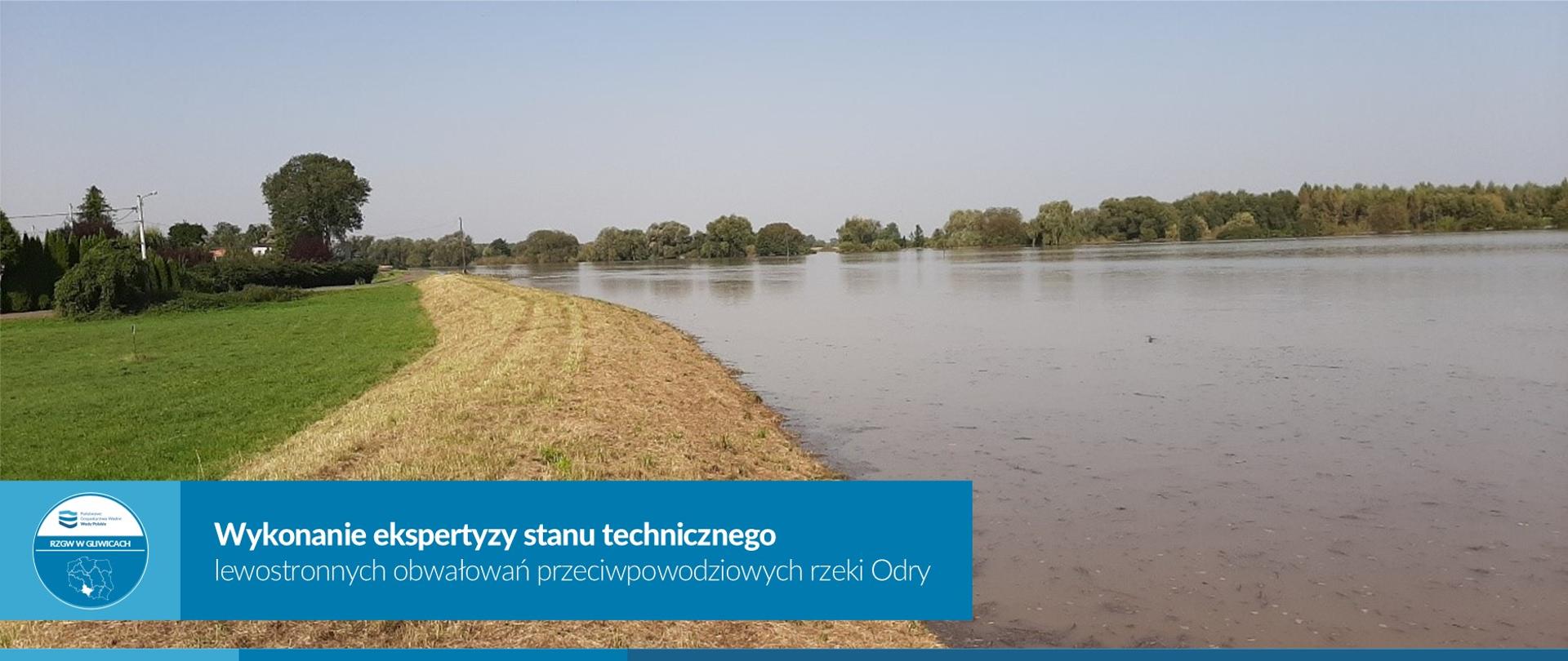 Wykonanie ekspertyzy stanu technicznego lewostronnych obwałowań przeciwpowodziowych rzeki Odry