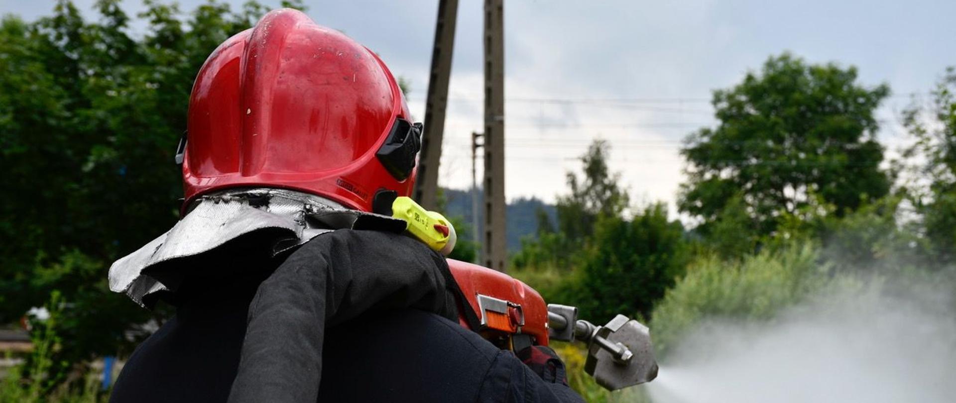 Strażak stojący tyłem, trzyma urządzenie gaśnicze Cobra, z którego podaje wodę