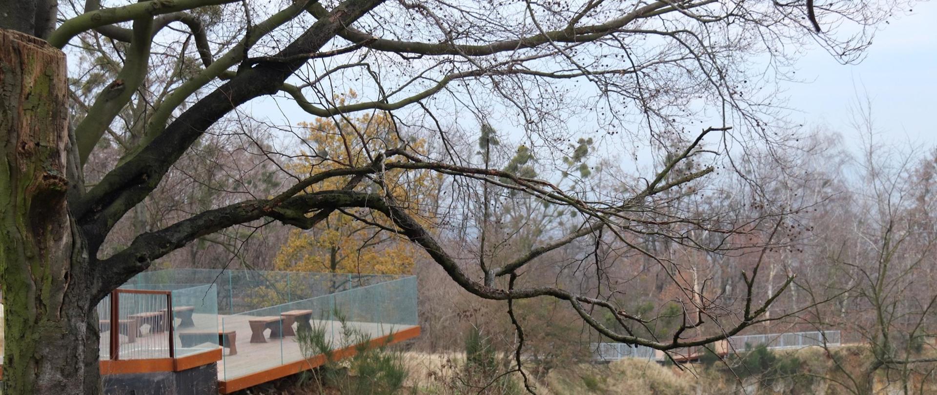 Budowa infrastruktury turystycznej w celu ochrony muraw kserotermicznych w obszarze Natura 2000 Góra Świętej Anny - zdjęcie