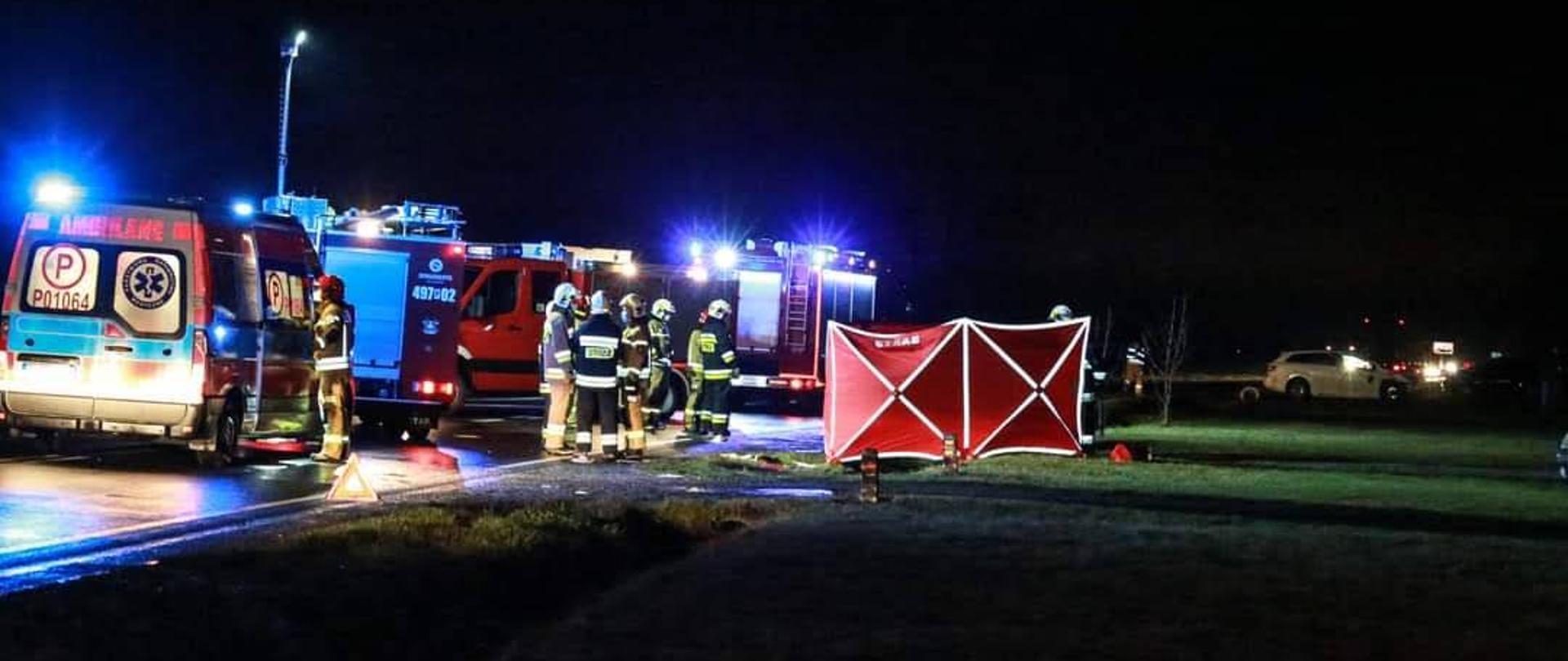 Na jezdni karetka pogotowia oraz trzy zastępy straży pożarnej. Pojazdy pożarnicze oświetlają teren akcji. Obok pojazdu widoczny parawan ratowniczy, który izoluje miejsce prowadzonych czynności od osób postronnych. Obok stoją strażacy zabezpieczający miejsce zdarzenia. Jest noc, droga krajowa została całkowicie zablokowana.