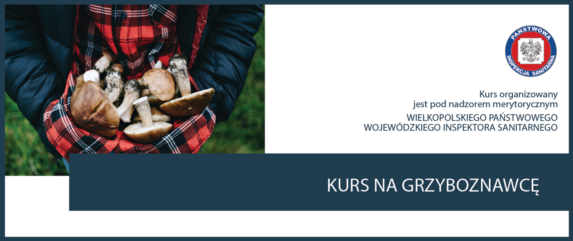 kurs na grzyboznawcę - baner zdjęcie świeżo zebranych grzybów