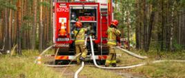 Zdjęcie przedstawia tył dużego, czerwonego pojazdu strażackiego, który stoi na polnej drodze w lesie. Dwóch strażaków, ubranych w beżowe ubrania specjalne z jaskrawożółtymi pasami odblaskowymi i w czerwonych hełmach, pracuje przy samochodzie. Jeden z nich, stojący po lewej stronie, jest zwrócony w stronę pojazdu i ma pochyloną głowę, obsługując autopompę. Drugi strażak stoi po prawej stronie wozu i trzyma w rękach szeroki, biały wąż strażacki, który jest podłączony do pojazdu. Od wozu odchodzi kilka węży strażackich. Wokół pojazdu rośnie wysoka trawa i małe drzewka. W tle widoczny jest gęsty las.