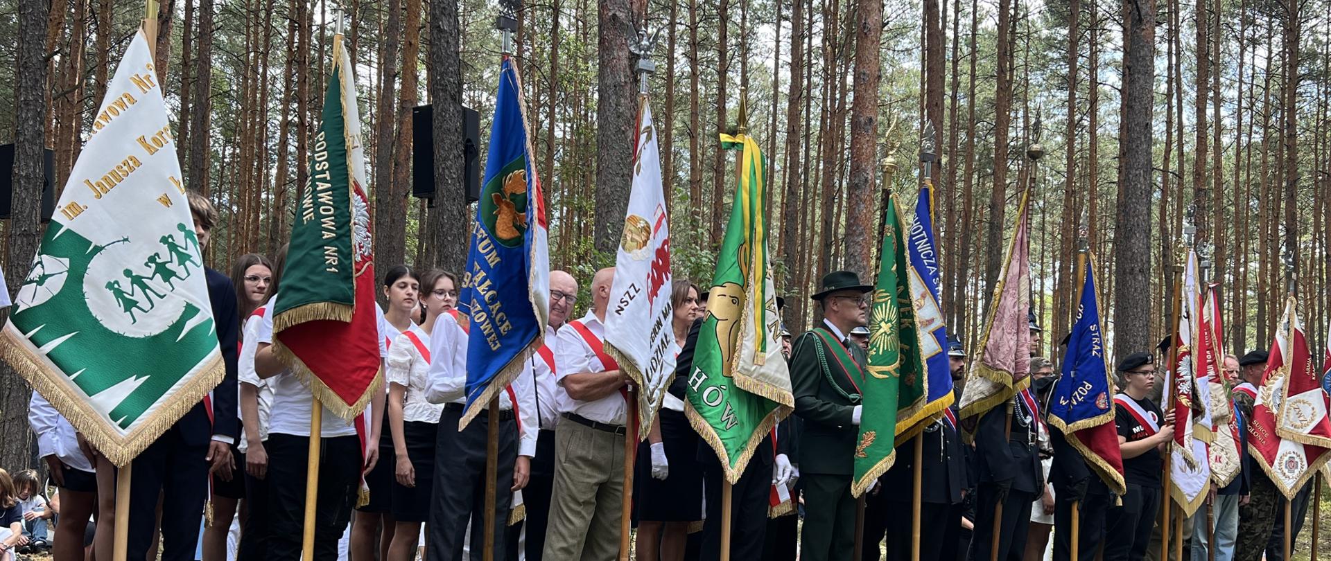 81. rocznica Bitwy pod Jerzyskami