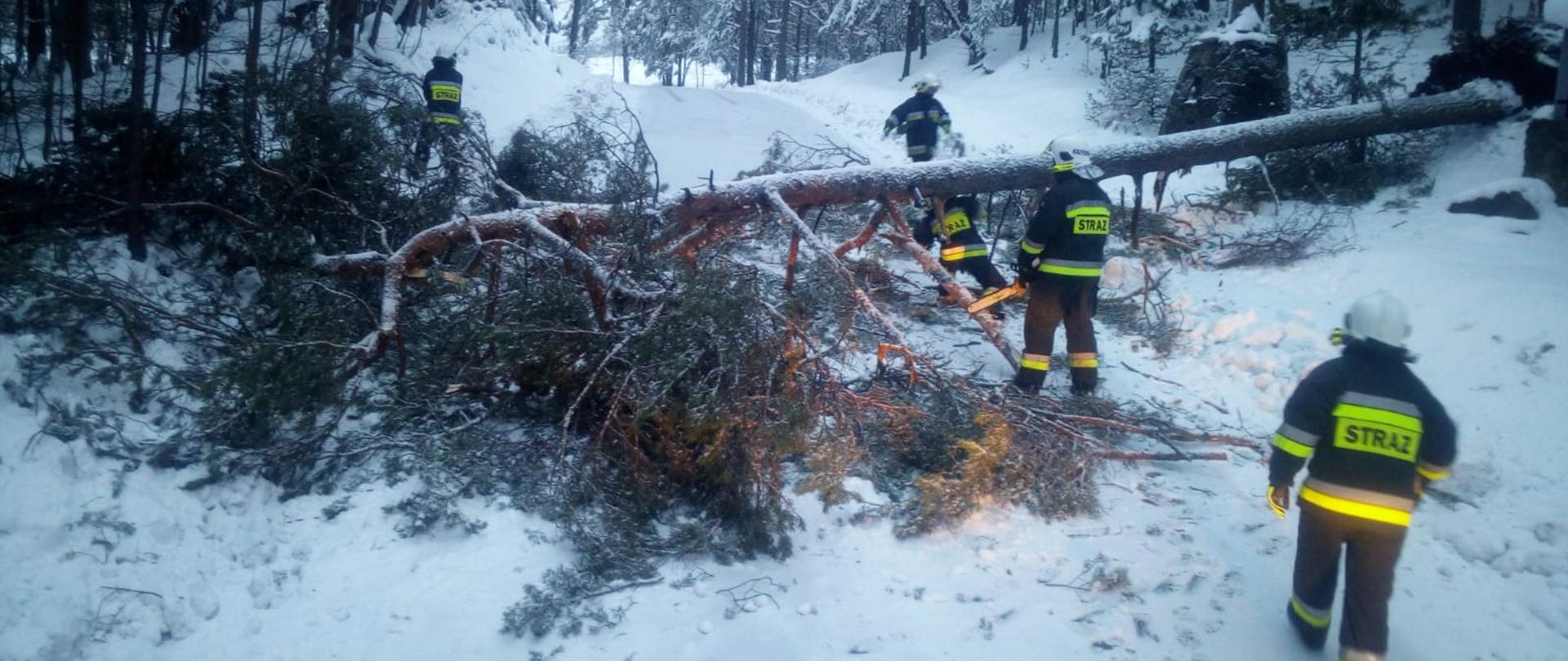 Zdjęcie przedstawia strażaków pracujących przy usuwaniu powalonego drzewa na jezdnię