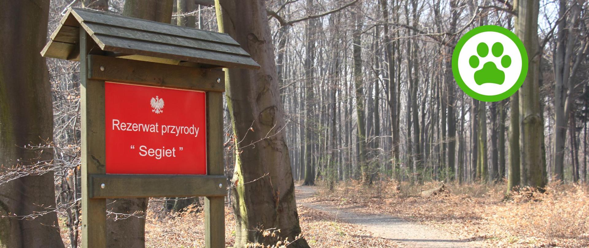 Tablica informacyjna rezerwatu Segiet w tle las i ścieżka, na zdjęciu grafika łapy psa w kolorze zielonym