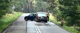 Prosty odcinek drogi pomiędzy drzewami, w głębi stojące dwa pojazdy uczestniczące w wypadku drogowym. Z boku, po prawej stojący policjant