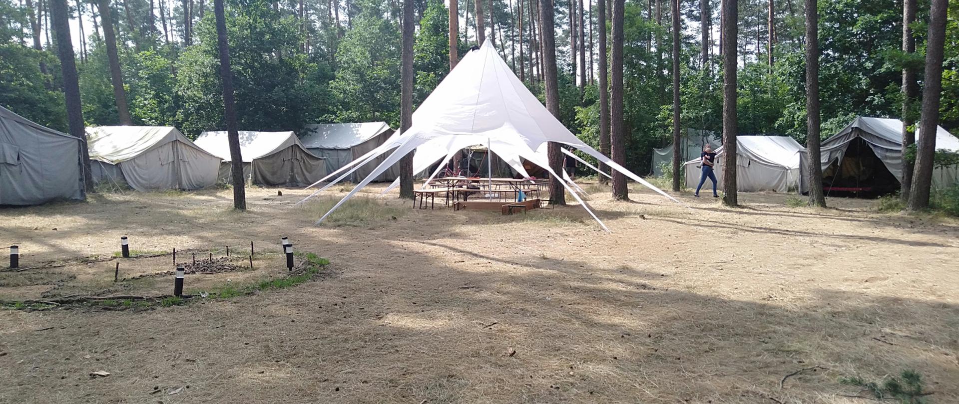 Na zdjęciu widoczne namioty harcerskie rozstawione w lesie.