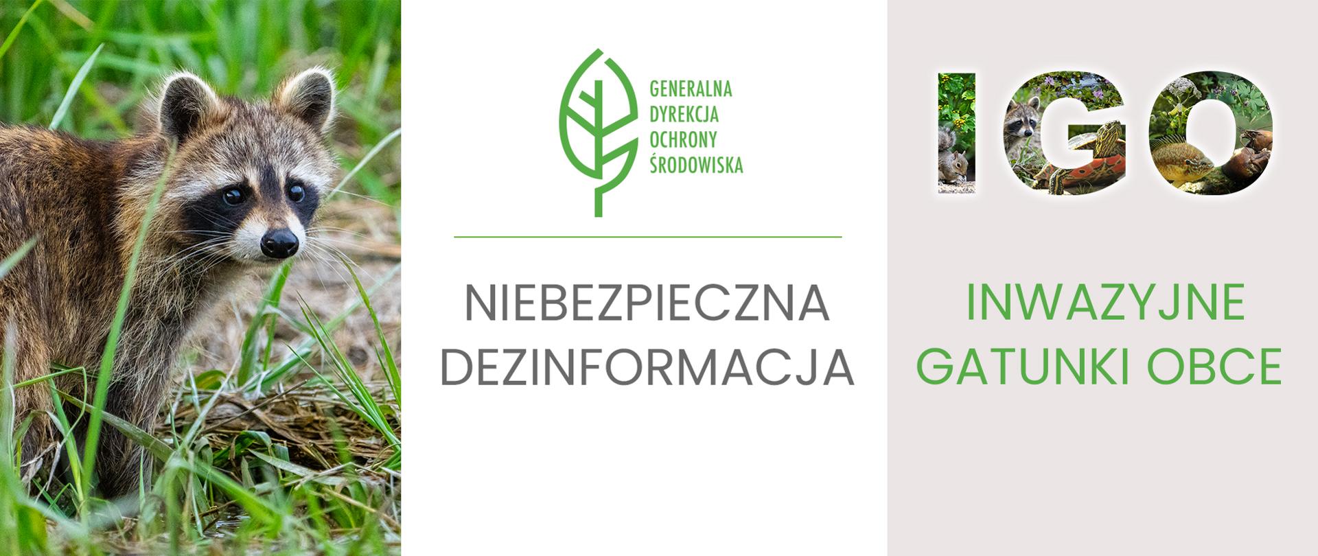 Cykl publikacji Generalnej Dyrekcji Ochrony Środowiska