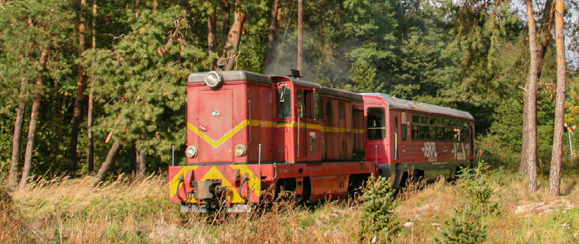kolej_wąskotorowa