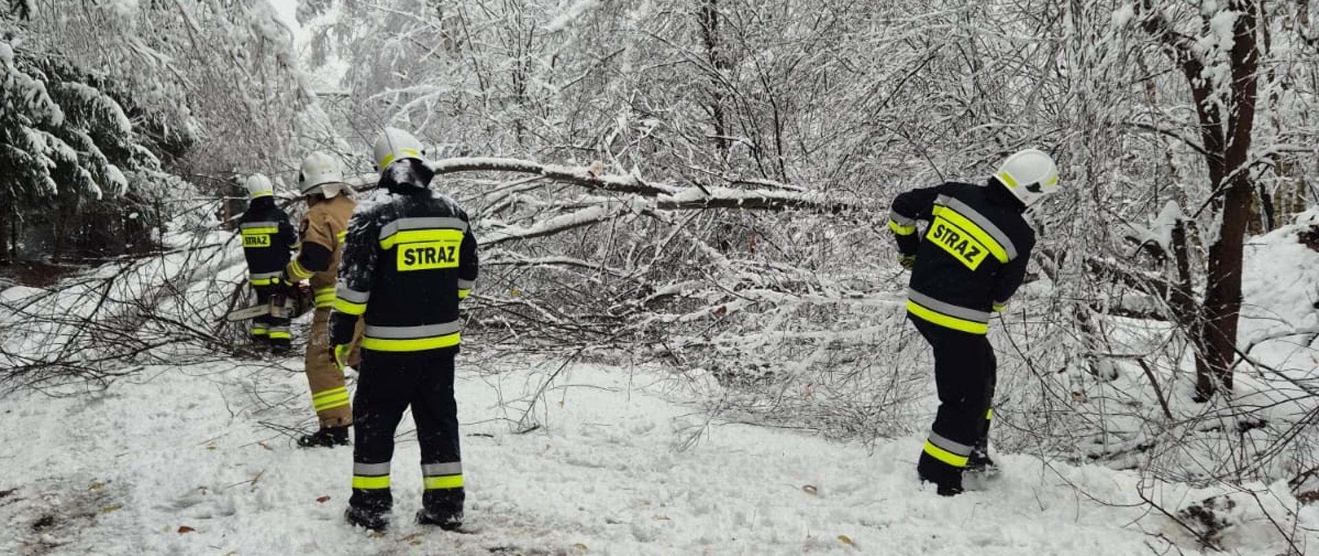 Na zdjęciu widzimy strażaków podczas usuwania połamanych konarów drzew