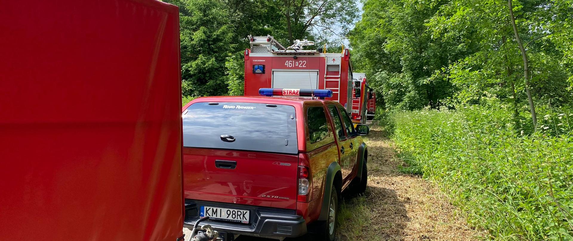 Przybyłe na miejsce zastępy PSP