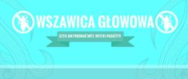 wszawica głowna drogi szerzenia wszawicy, jak pozbyć się choroby